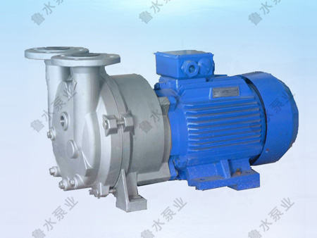 2BV水環(huan)式真空泵(bèng)