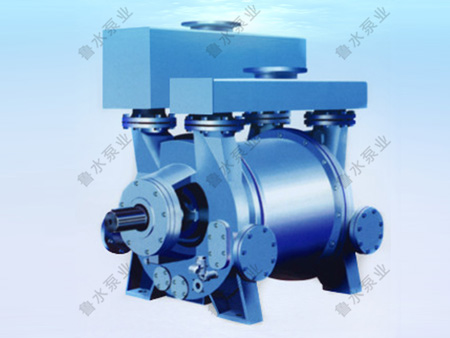 2BE系列水環式真(zhen)空泵